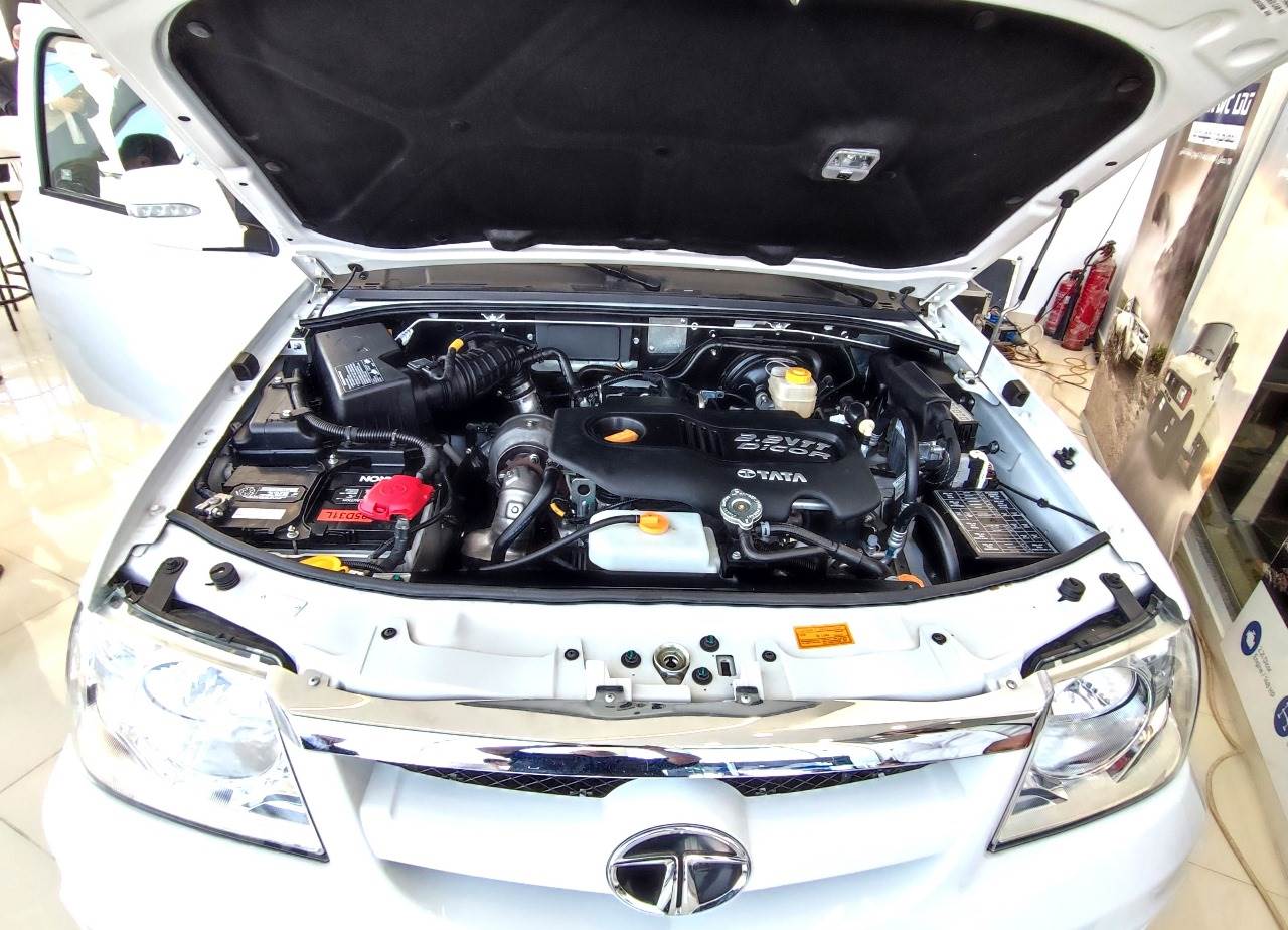 WhatsApp_Image_2024-10-29_at_8_42_58_PM