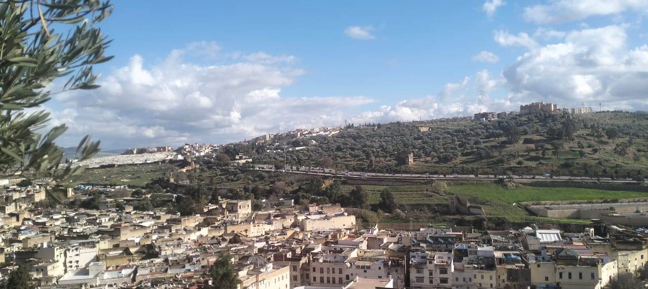 WhatsApp_Image_2026-01-07_at_11_00_22_AM