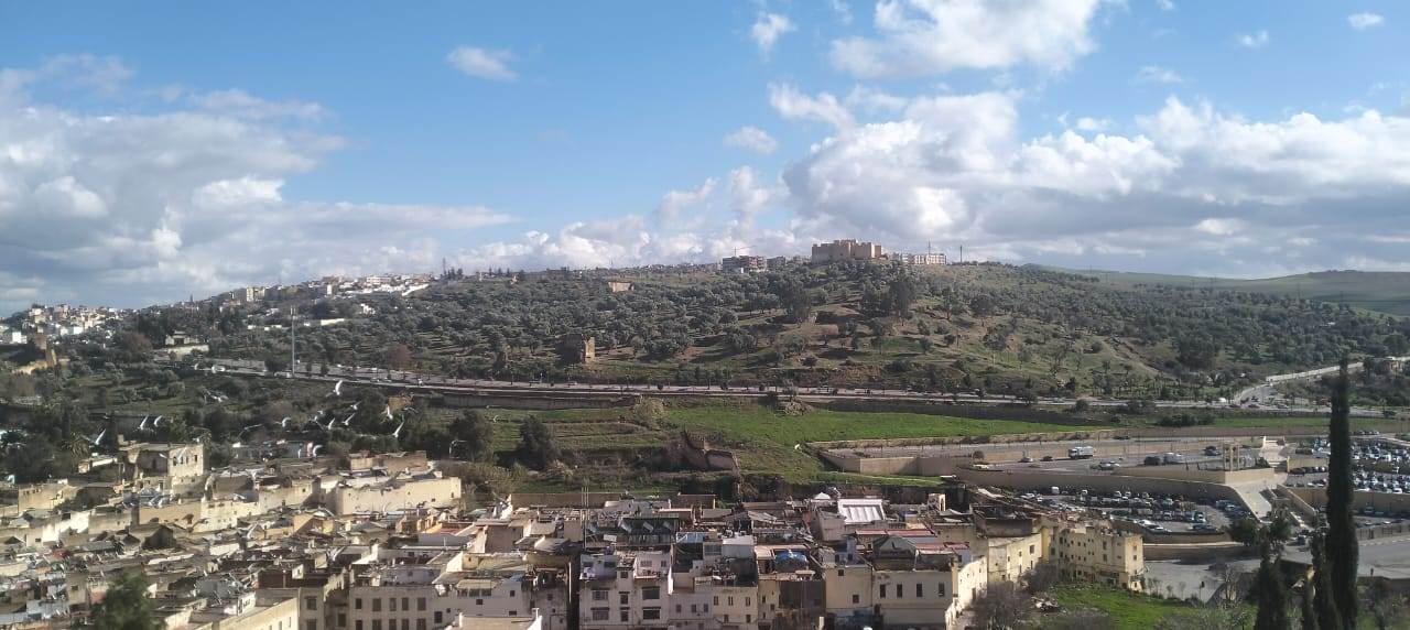 WhatsApp_Image_2026-01-07_at_11_00_23_AM