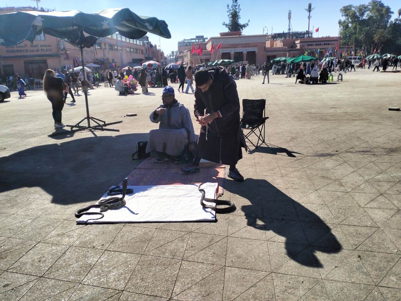 WhatsApp_Image_2026-01-12_at_9_53_52_AM_(1)