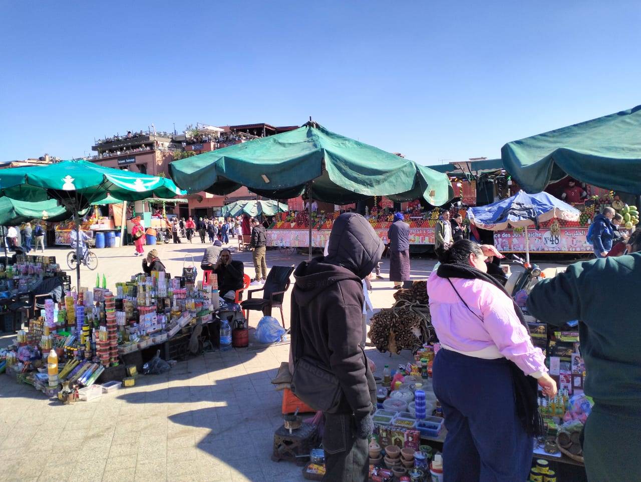 WhatsApp_Image_2026-01-12_at_9_55_20_AM