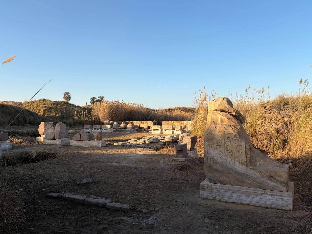 WhatsApp_Image_2026-02-05_at_2_48_07_PM