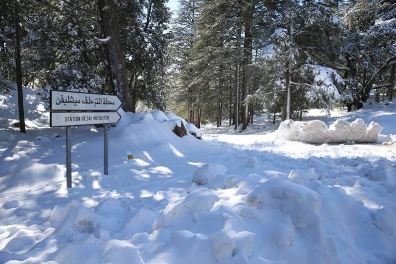 WhatsApp_Image_2026-02-06_at_12_33_06_PM_(1)