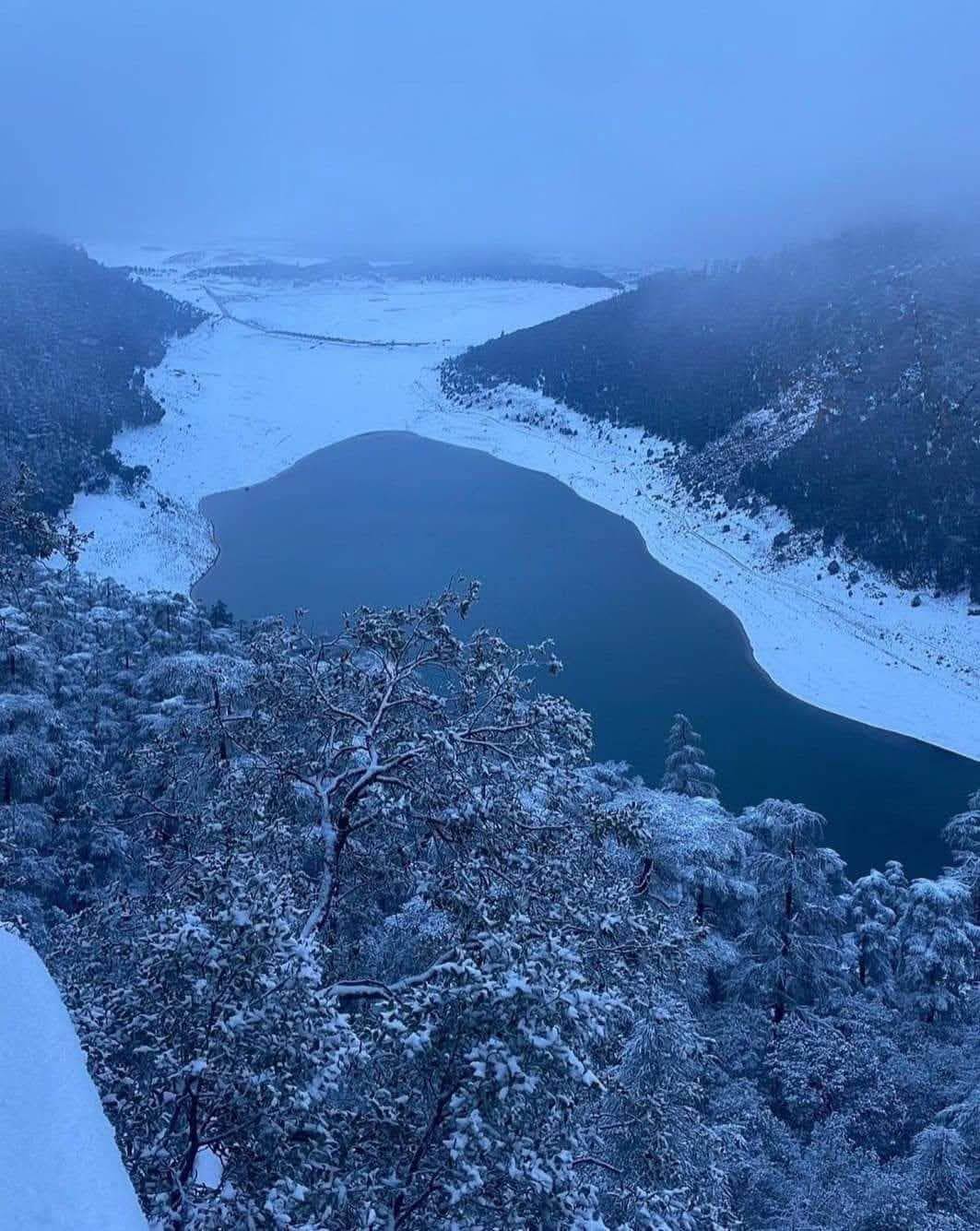 WhatsApp_Image_2026-02-06_at_12_33_07_PM_(4)