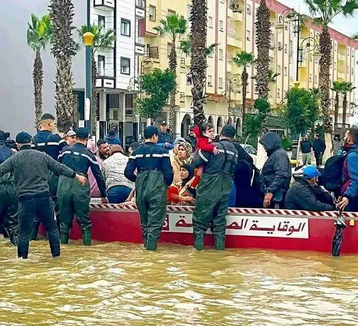 WhatsApp_Image_2026-02-06_at_12_55_14_PM