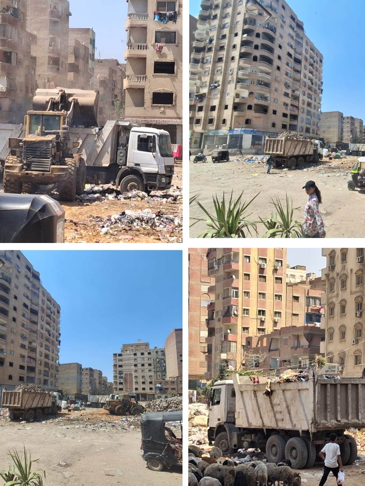 WhatsApp_Image_2026-04-22_at_3_48_52_AM_(3)