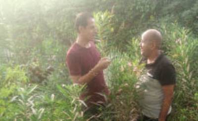 السوق العربية فى «قرية الياسمين» مملكة إنتاج العطور فى مصر