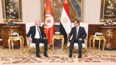 الرئيس السيسى: قضية فلسطين محورية للعالم العربي ونبذل الجهود لتطبيق حل الدولتين