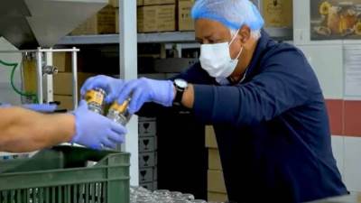 بمناسبة اليوم العالمى للنحل.. حمدى رزق يقدم الليلة حلقة خاصة من مناحل الغربية 