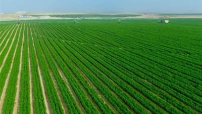 الحكومة: إضافة 285 ألف فدان فى خطة مشروع مستقبل مصر والدلتا الجديدة