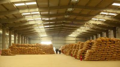 البنك الزراعي المصري ينهي استعداداته لاستقبال موسم توريد القمح