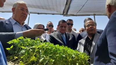 وزراء الزراعة والتضامن والتنمية المحلية ومحافظ الوادى الجديد يفتتحون مركز التنمية المستدامة بالوادي الجديد