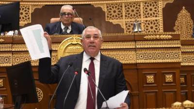 وزير الزراعة: التعدى على الرقعة الزراعية أصبح جريمة مخلة بالشرف والأمانة