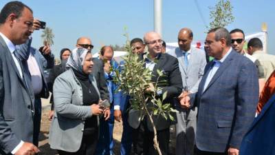 وزير التنمية المحلية ومحافظ بنى سويف يتابعان مبادرة رئيس الجمهورية لزراعة " 100 مليون شجرة" بقرية سدس بمركز ببا 