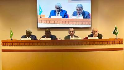 أبو الغيط يعرب عن تطلعه لعقد القمة العربية- الأفريقية الخامسة بالسعودية نوفمبر المقبل