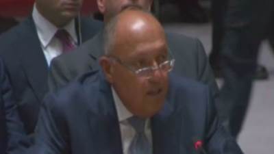  سامح شكرى أمام مجلس الأمن: حل القضية الفلسطينية ليس التهجير لمناطق أخرى 