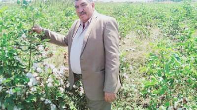  السوق العربية تتابع بدء موسم جنى القطن ..  ارتفاع غير مسبوق فى أسعار «الذهب الأبيض» .. و16 شركة تتنافس على أقطان الوجه «القبلى» وسعر القنطار يتجاوز 11 ألفًا و700 جنيه