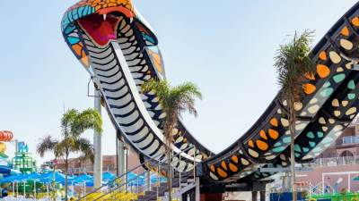 بتواجدها داخل نيفر لاند..تعرف على الكينج كوبرا الحاصلة على أفضل لعبة أوروبية