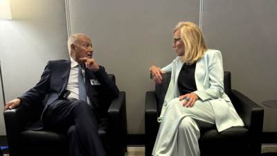 أبو الغيط يلتقي كبيرة منسقي الشؤون الإنسانية وإعادة الإعمار في غزة