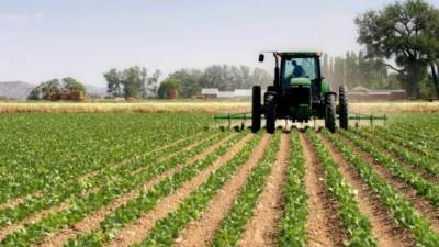 مصر تتبنى مشروعات التوسع الرأسى لزيادة الإنتاجية من المحاصيل والمنتجات الزراعية