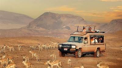 تحدي صير بني ياس يتوسع ليشمل المزيد من السباقات والأنشطة العائلية وخيارات الإقامة والسفر