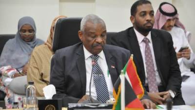 وزير العمل يترأس وفد السودان في اجتماعات الدورةً 119 للمجلس التنفيذي للمنظمة العربية للتنمية الإدارية 