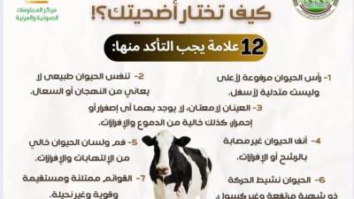 الزراعة: 12 علامة لاختيار الأضاحي و8 للحوم السليمة