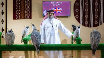 المزرعة الإنجليزية "فالكون ميوز" تُشارك بـ 100 صقر في المزاد الدولي لمزارع إنتاج الصقور بالرياض