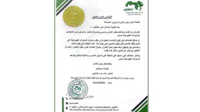 سوق السيارات المصرى يشهد حالة من القلق بسبب القرارات المنتظر فرضها على السيارات الكهربائية "صينية البروتوكولات"