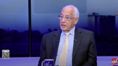 علي الدين هلال: أوروبا تتحرك لمعاقبة إسرائيل اقتصاديًا.. والمقاطعة الأكاديمية والرياضية تتصاعد