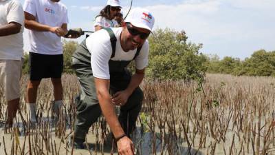 موظفو توتال إنرجيز للتسويق إيجيبت يزرعون 1000 شجرة مانغروف في مرسى علم ضمن مبادرة للمسؤولية المجتمعية