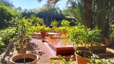 حديقة مارجويل.. أيقونة جمالية وثقافية في قلب مراكش