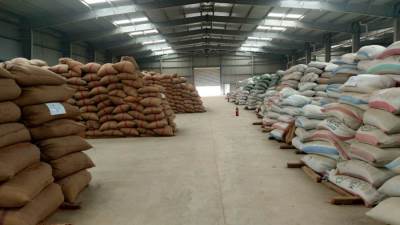 البنك الزراعي المصري يُنهي استعداداته لاستقبال موسم توريد القمح 2026