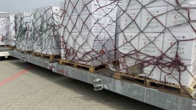 بدعم من وكالة الإمارات للمساعدات الدولية.. "جسر حميد الجوي" لإغاثة قطاع غزة بـ100 طن من المساعدات الغذائية