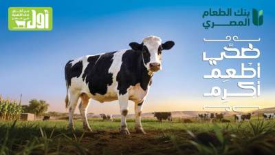 بنك الطعام المصري يطلق حملة "ضحي أطعم أكرم" لدعم الأسر الأكثر احتياجًا خلال عيد الأضحى